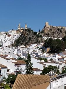 een stad met witte gebouwen en een berg bij Los Girasoles in Olvera