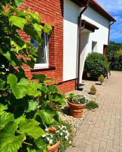 a brick house with plants in front of it at Apartamenty Ostoja in Łeba