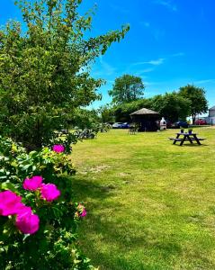 a picnic table in a park with pink flowers at Apartamenty Ostoja in Łeba