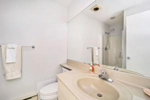 a bathroom with a sink and a toilet and a mirror at South Beach 55 in Glen Arbor +24 photos