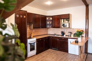 Kuchyňa alebo kuchynka v ubytovaní Podkrovní apartmán s výhledem na náměstí + 10 fotografií
