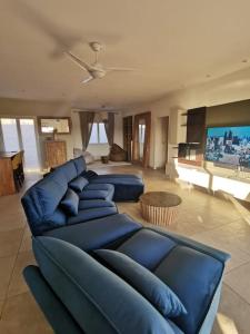 un salon avec un canapé bleu et une télévision dans l'établissement La Panacée, à Juvignac