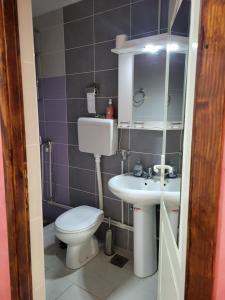 a small bathroom with a toilet and a sink at Miselin Apartmani in Vladičin Han