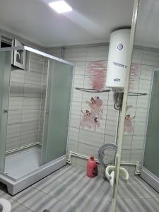 a bathroom with a shower and a toilet in it at Miselin Apartmani in Vladičin Han