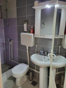 a bathroom with a toilet and a sink at Miselin Apartmani in Vladičin Han