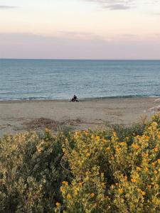 una persona sentada en la playa cerca del océano en Logement plage, en Saint-Cyprien