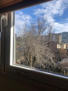 a view of a tree from a window at La Quilmeña Esquel centro in Esquel