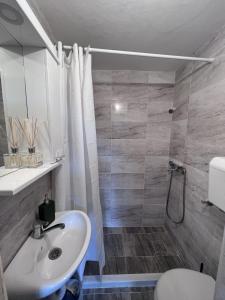 uma casa de banho com um lavatório, um chuveiro e um WC. em Hostel Bear Hug em Plav