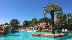 a palm tree in a pool at a resort at SABLE D OR in Le Grau-dʼAgde