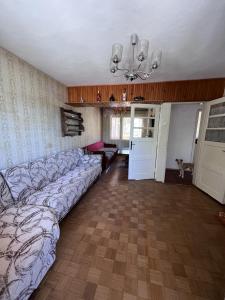 a living room with a couch and a kitchen at Hostel Bear Hug in Plav