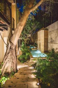 a garden with a tree and a swimming pool at TreeHouse Boutique Hotel, an adults only boutique hotel in Mérida