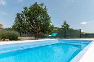 einen Pool im Hinterhof mit einem Tisch und einem Stuhl in der Unterkunft Villa Dalmatina 