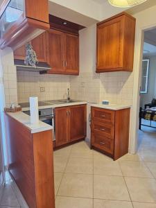 a kitchen with wooden cabinets and a counter top at Athene place 1 in Rodhiá