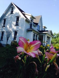 una flor rosa frente a una casa en B&B Hillhouse, en Lac-Brome