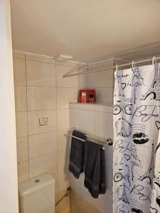 a bathroom with a toilet and a shower curtain at Athene place 1 in Rodhiá