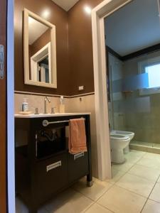ein Badezimmer mit einem Waschbecken, einem WC und einem Spiegel in der Unterkunft Estudio in Ushuaia
