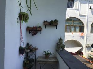 a room with potted plants on a white wall at Paravis in Piano di Sorrento
