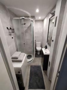 a bathroom with a shower and a sink and a toilet at Płyta 129 in Gdynia