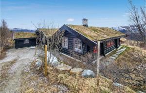 an old house with a grass roof on a hill at Gorgeous Home In Uvdal With Kitchen in Uvdal