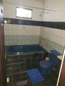 a bathroom with a blue toilet and a tub at Pulpos in Quepos