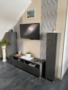Televízia a/alebo spoločenská miestnosť v ubytovaní Fodan Apartman
