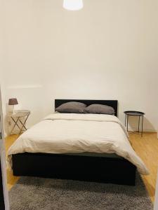 ein Schlafzimmer mit einem großen Bett mit einer weißen Wand in der Unterkunft Magnifique appartement au rdc dans une maison de maître avec cour extérieure in Lüttich
