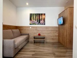 ein Wohnzimmer mit einem Sofa und einem Tisch in der Unterkunft Apartment Obermair in Bruneck