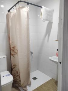 y baño con cortina de ducha y aseo. en Apartamentos Can Bruguera 4, en Mataró