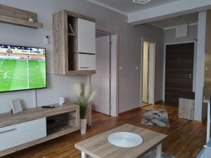 Vrnjačka Banja的住宿－SPA 25，客厅的墙上配有电视