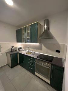a kitchen with green cabinets and a sink at Partners Perfect Place in Brela +4 photos