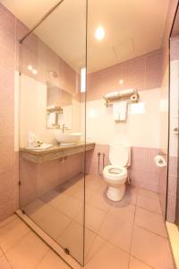 La salle de bains est pourvue de toilettes et d'un lavabo. dans l'établissement Thy Executive Hotel, à Johor Bahru