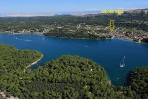 an aerial view of a lake with a boat in it at Family Apartment Andrea close to beach in Rab