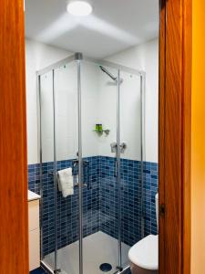 a bathroom with a glass shower with a toilet at MARINA LLANES V in Llanes