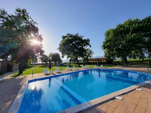 a swimming pool with lounge chairs and trees at Château Davitiani in Shilda