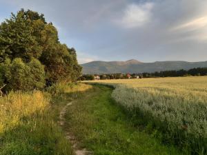 Príroda v okolí farmy