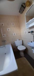 Un baño con un inodoro blanco y un lavabo. en Privat Zuzka, en Liptovský Mikuláš