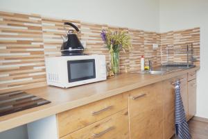 Kuchyň nebo kuchyňský kout v ubytování Na Kopečku apartmány
