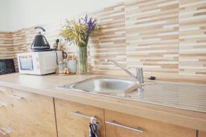Kuchyň nebo kuchyňský kout v ubytování Na Kopečku apartmány