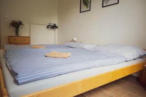 Postel nebo postele na pokoji v ubytování Na Kopečku apartmány