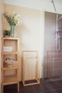 a bathroom with a shower and a wooden shelf with a shower at Na Kopečku apartmány in Cerny Dul