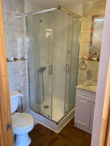 a bathroom with a shower and a toilet at Suite Matrimonial 2 Rocas del Mar in Pichilemu