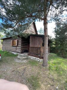 una cabaña de madera con un árbol delante en Domek Na Roztoczu, 