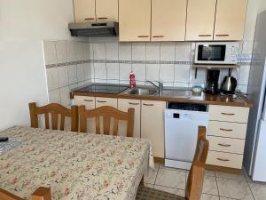 Kuchyňa alebo kuchynka v ubytovaní Apartmani Dušanka + 37 fotografií
