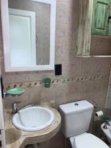 a bathroom with a toilet and a sink and a mirror at Casona centrica alameda Mendoza in Mendoza +21 photos