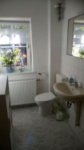 baño con aseo y lavabo y ventana en Urlaub in Engelswacht en Sundhagen-Niederhof