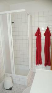 baño con ducha y toallas rojas en la pared en Urlaub in Engelswacht en Sundhagen-Niederhof