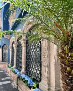 une porte ornée dans un bâtiment aux fleurs bleues dans l'établissement Casa Amari, à Mexico