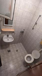 a bathroom with a toilet and a sink at Private guest-house Gutic in Sutomore