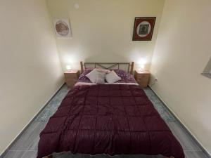 sypialnia z łóżkiem z fioletową kołdrą w obiekcie Apartman Stela w Nin