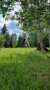 ein Haus auf einem Feld mit einem Baum in der Unterkunft Grzechatka in Wetlina